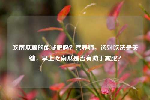 吃南瓜真的能减肥吗?营养师,选对吃法是关键,早上吃南瓜是否有助于减肥?
