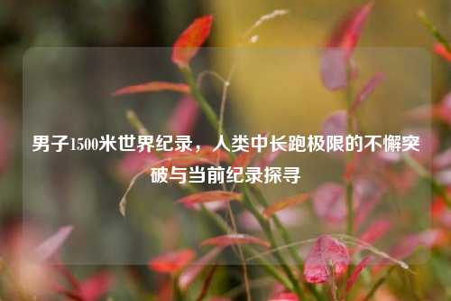 男子1500米世界纪录,人类中长跑极限的不懈突破与当前纪录探寻