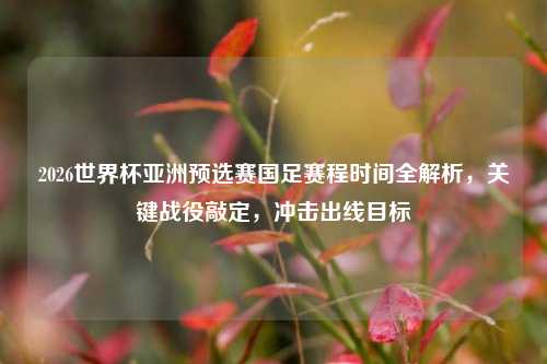2026世界杯亚洲预选赛国足赛程时间全解析,关键战役敲定,冲击出线目标