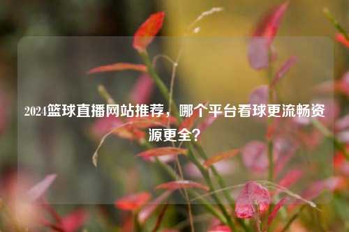 2024篮球直播网站推荐,哪个平台看球更流畅资源更全?
