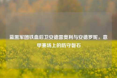 蓝黑军团铁血后卫安德雷奥利与安德罗妮,意甲赛场上的防守磐石
