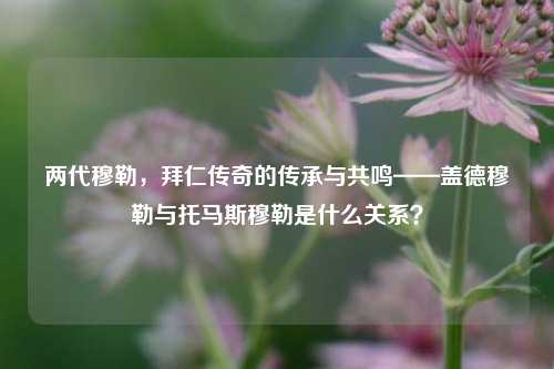 两代穆勒,拜仁传奇的传承与共鸣——盖德穆勒与托马斯穆勒是什么关系?