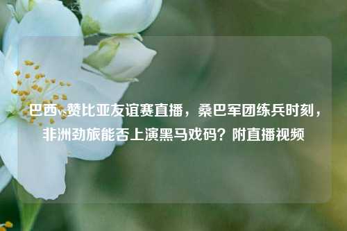 巴西vs赞比亚友谊赛直播,桑巴军团练兵时刻,非洲劲旅能否上演黑马戏码?附直播视频