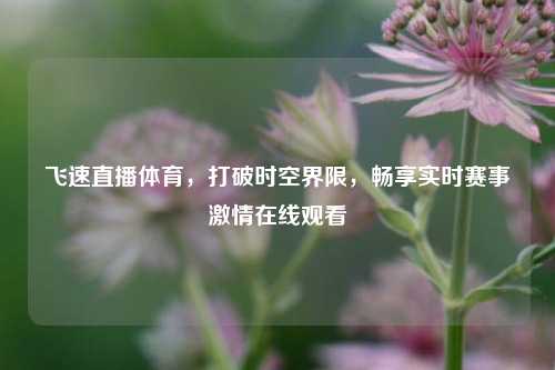 飞速直播体育,打破时空界限,畅享实时赛事 在线观看