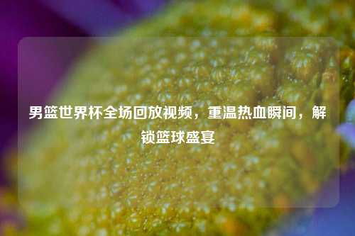 男篮世界杯全场回放视频,重温热血瞬间,解锁篮球盛宴