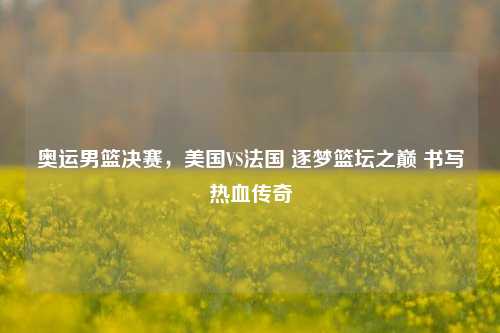 奥运男篮决赛,美国VS法国 逐梦篮坛之巅 书写热血传奇