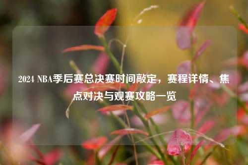 2024 NBA季后赛总决赛时间敲定,赛程详情、焦点对决与观赛攻略一览