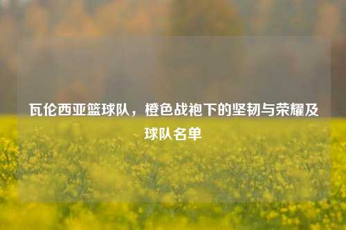 瓦伦西亚篮球队,橙色战袍下的坚韧与荣耀及球队名单