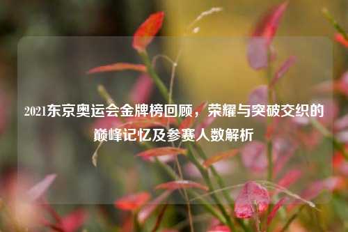 2021东京奥运会金牌榜回顾,荣耀与突破交织的巅峰记忆及参赛人数解析