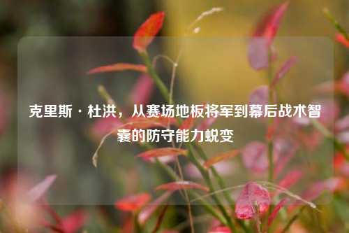 克里斯·杜洪,从赛场地板将军到幕后战术智囊的防守能力蜕变