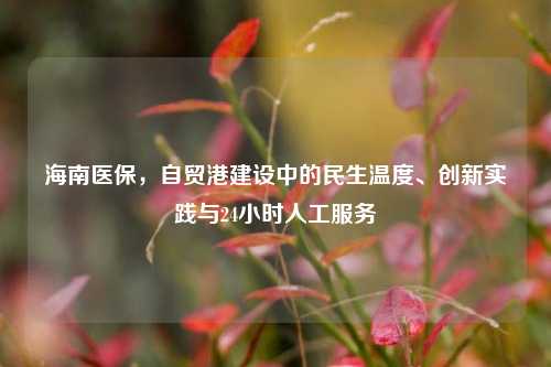 海南医保,自贸港建设中的民生温度、创新实践与24小时人工服务