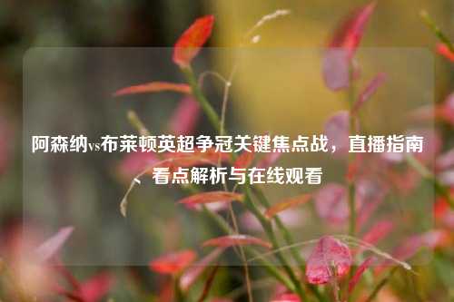 阿森纳vs布莱顿英超争冠关键焦点战,直播指南、看点解析与在线观看