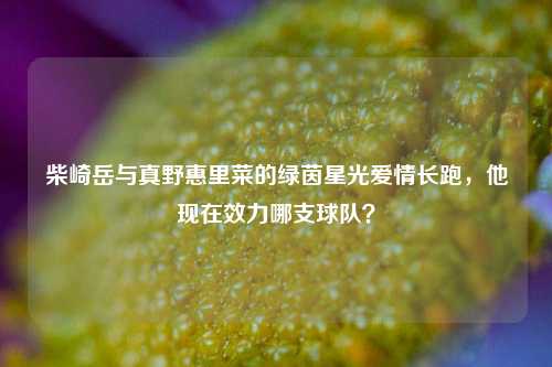 柴崎岳与真野惠里菜的绿茵星光爱情长跑,他现在效力哪支球队?