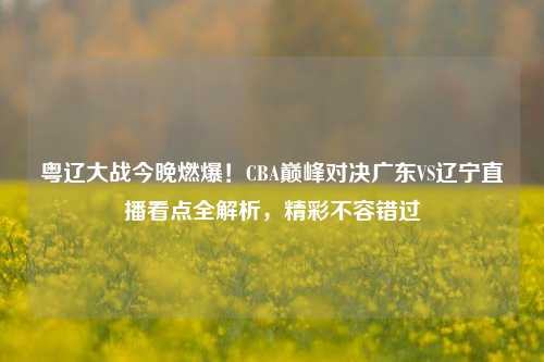 粤辽大战今晚燃爆!CBA巅峰对决广东VS辽宁直播看点全解析,精彩不容错过