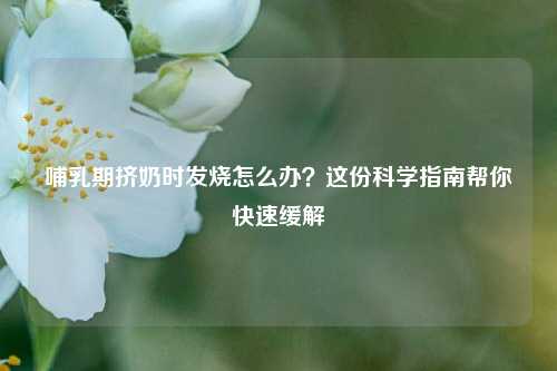 哺乳期挤奶时发烧怎么办?这份科学指南帮你快速缓解