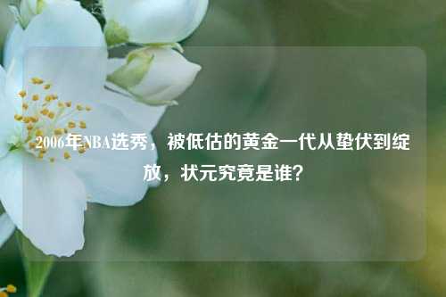 2006年NBA选秀,被低估的黄金一代从蛰伏到绽放,状元究竟是谁?