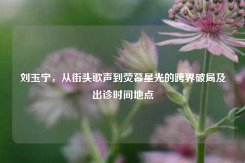 刘玉宁,从街头歌声到荧幕星光的跨界破局及出诊时间地点