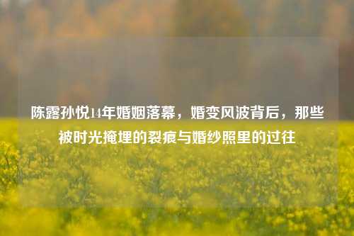 陈露孙悦14年婚姻落幕,婚变风波背后,那些被时光掩埋的裂痕与婚纱照里的过往