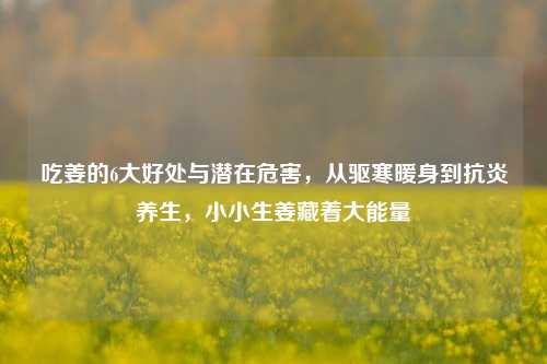 吃姜的6大好处与潜在危害,从驱寒暖身到抗炎养生,小小生姜藏着大能量