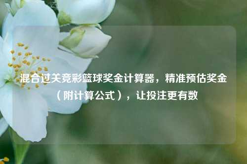 混合过关竞彩篮球奖金计算器,精准预估奖金(附计算公式),让投注更有数