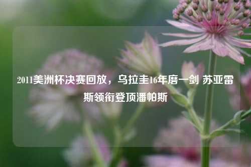 2011美洲杯决赛回放,乌拉圭16年磨一剑 苏亚雷斯领衔登顶潘帕斯