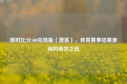 即时比分500完场版(澳客),体育赛事结果查询的高效之选