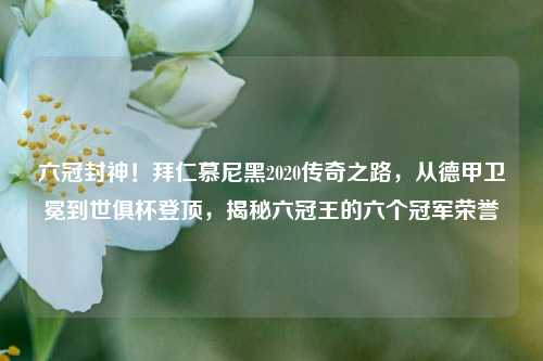 六冠封神!拜仁慕尼黑2020传奇之路,从德甲卫冕到世俱杯登顶,揭秘六冠王的六个冠军荣誉