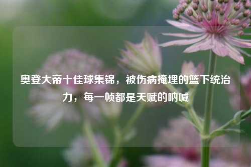 奥登大帝十佳球集锦,被伤病掩埋的篮下统治力,每一帧都是天赋的呐喊