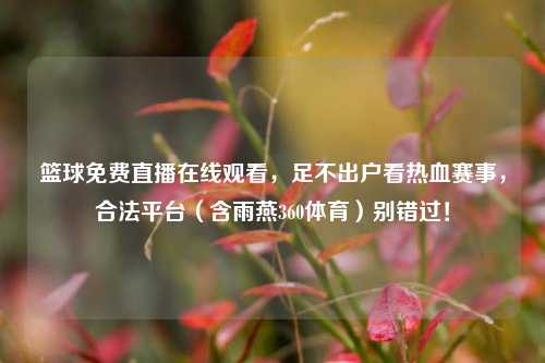 篮球免费直播在线观看,足不出户看热血赛事,合法平台(含雨燕360体育)别错过!