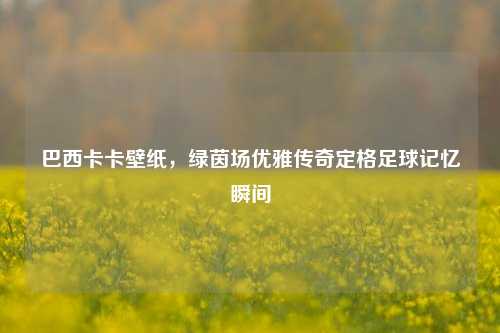 巴西卡卡壁纸,绿茵场优雅传奇定格足球记忆瞬间