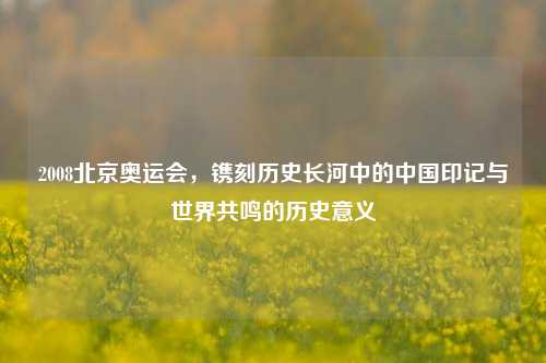 2008北京奥运会,镌刻历史长河中的中国印记与世界共鸣的历史意义