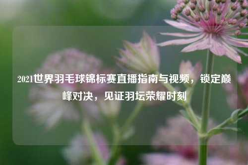 2021世界羽毛球锦标赛直播指南与视频,锁定巅峰对决,见证羽坛荣耀时刻
