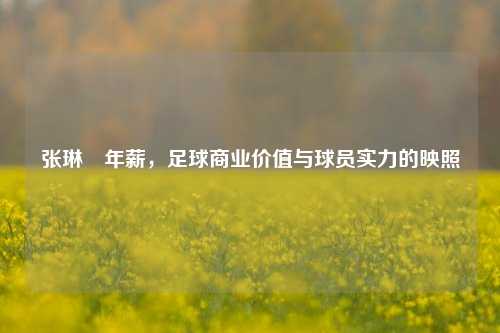 张琳芃年薪,足球商业价值与球员实力的映照