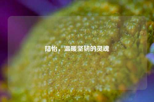 陆怡,温暖坚韧的灵魂