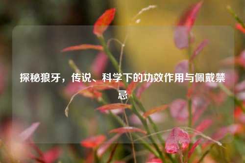 探秘狼牙,传说、科学下的功效作用与佩戴禁忌