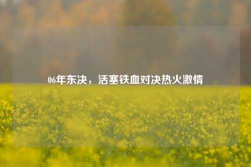 06年东决,活塞铁血对决热火