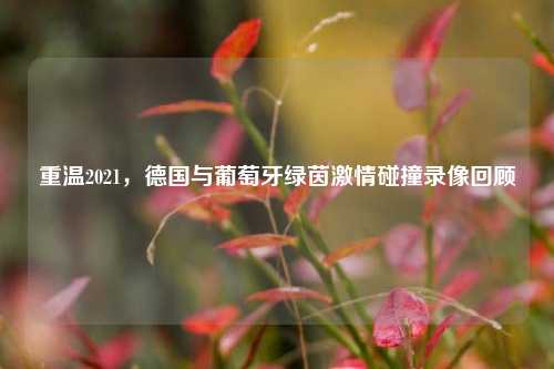 重温2021,德国与葡萄牙绿茵 碰撞录像回顾