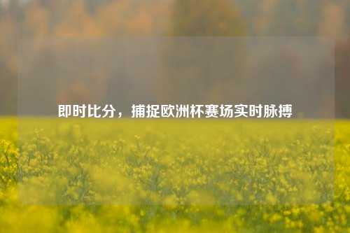 即时比分,捕捉欧洲杯赛场实时脉搏