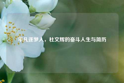 平凡逐梦人,杜文辉的奋斗人生与简历