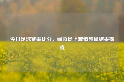 今日足球赛事比分,绿茵场上 碰撞结果揭晓