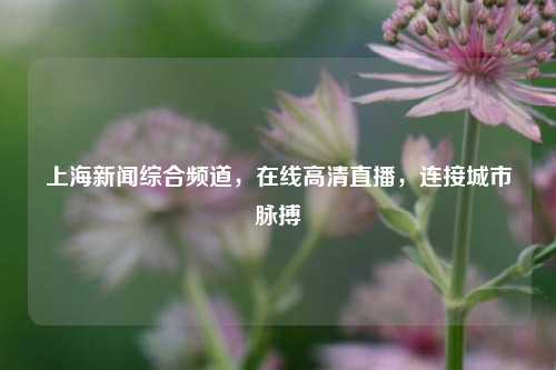 上海新闻综合频道,在线高清直播,连接城市脉搏