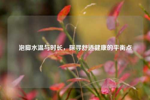 泡脚水温与时长,探寻舒适健康的平衡点