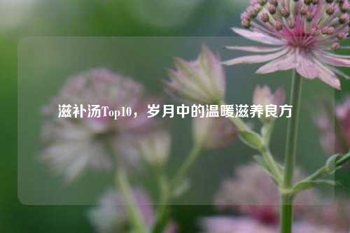滋补汤Top10,岁月中的温暖滋养良方