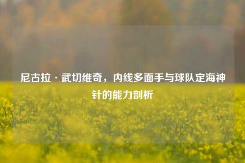 尼古拉·武切维奇,内线多面手与球队定海神针的能力剖析
