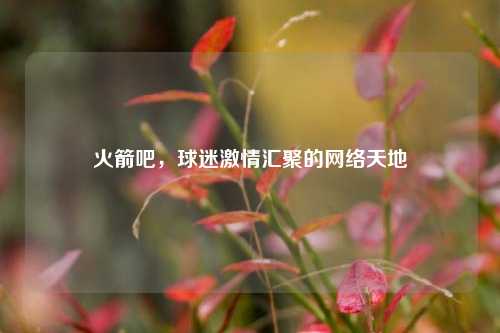 火箭吧,球迷 汇聚的 天地