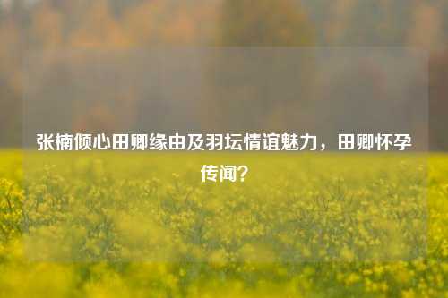 张楠倾心田卿缘由及羽坛情谊魅力,田卿怀孕传闻?
