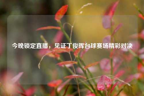 今晚锁定直播,见证丁俊晖台球赛场精彩对决