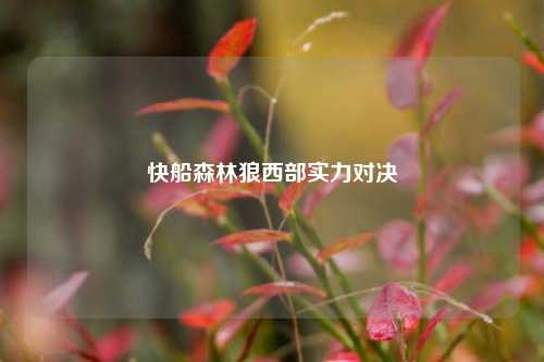快船森林狼西部实力对决