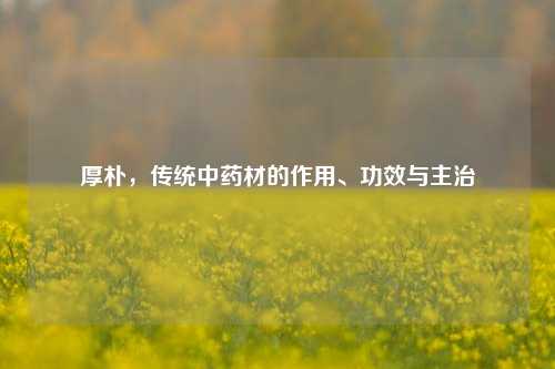 厚朴,传统中药材的作用、功效与主治