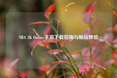 NBA 2K Online手游下载指南与畅玩体验